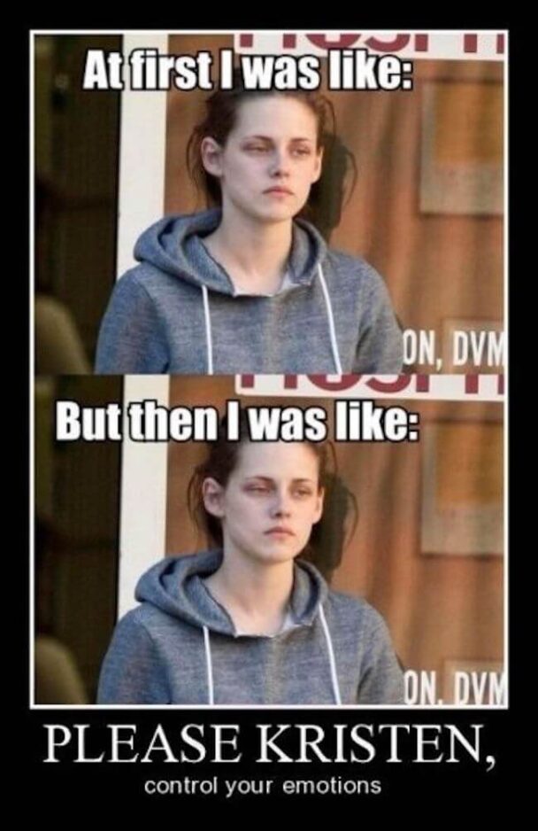 At First I Was Like On Dv But Then I Was Like Please Kristen Control Your Emotions