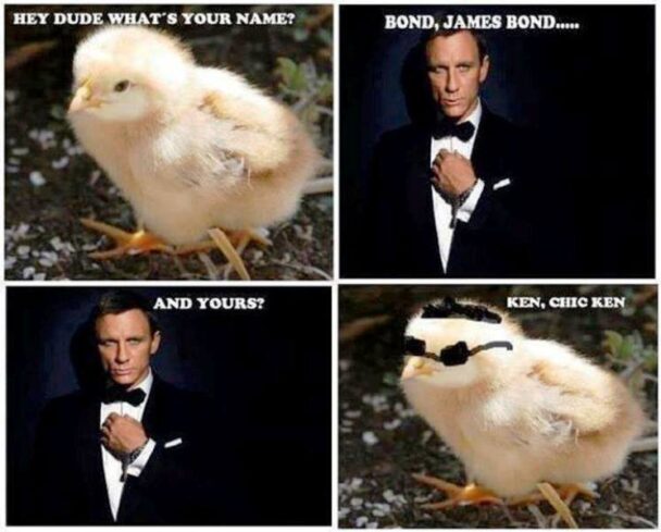 Hey Dude Whats Your Name Bond James Bond Ken Enc Ken And Yours