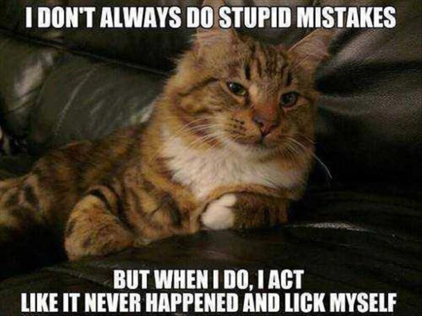 I Dont Always Do Stupid Mistakes But When Do Act Like It Never Happened And Lick Myself