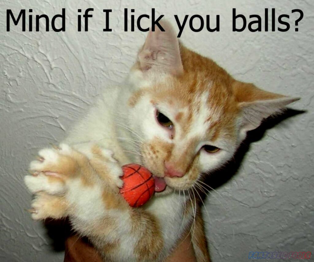Mind if I lick you balls
