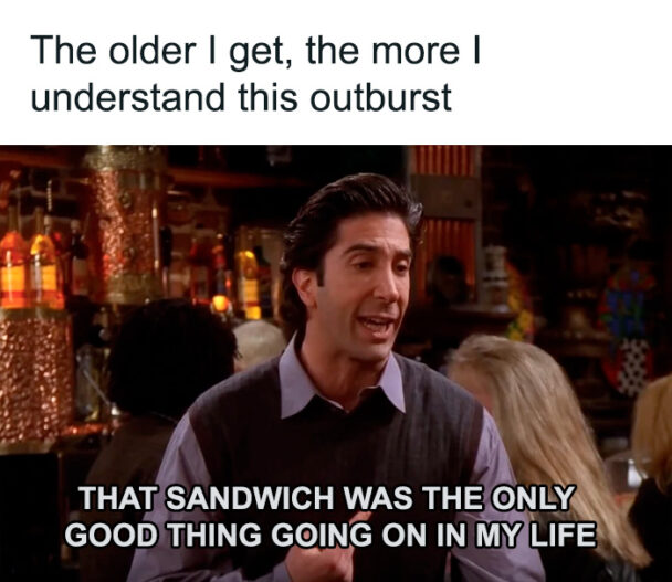 The Older I Get The More I Understand This Outburst That Sandwich Was The Only Good Thing Going On In My Life