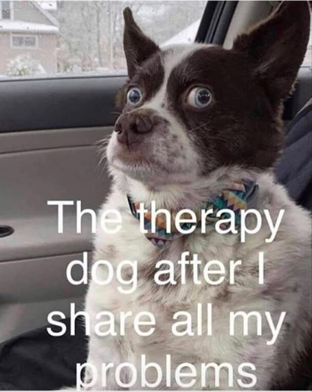 The Therapy Dog After I Share All My Roblems