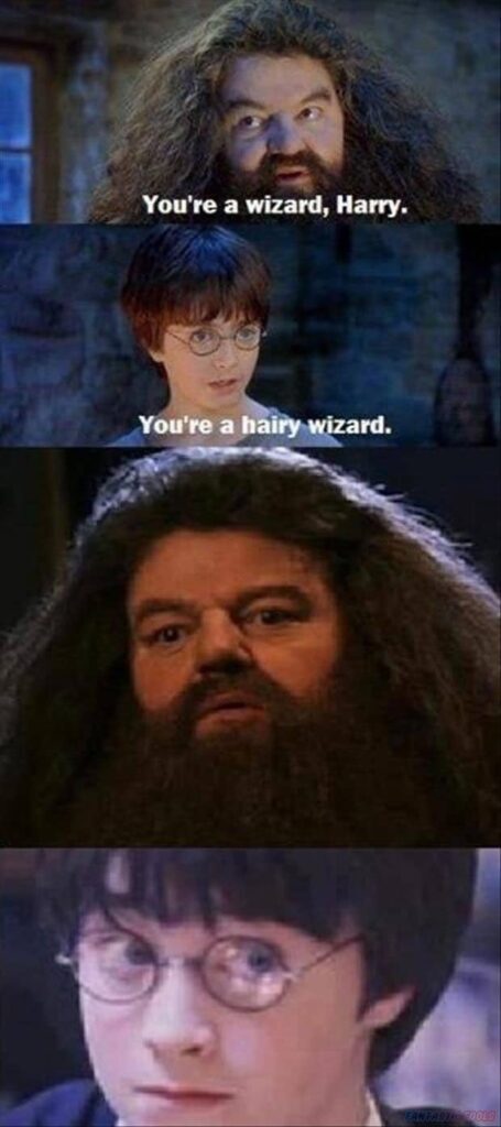 Youre a wizard Harry Youre a haiPywizard