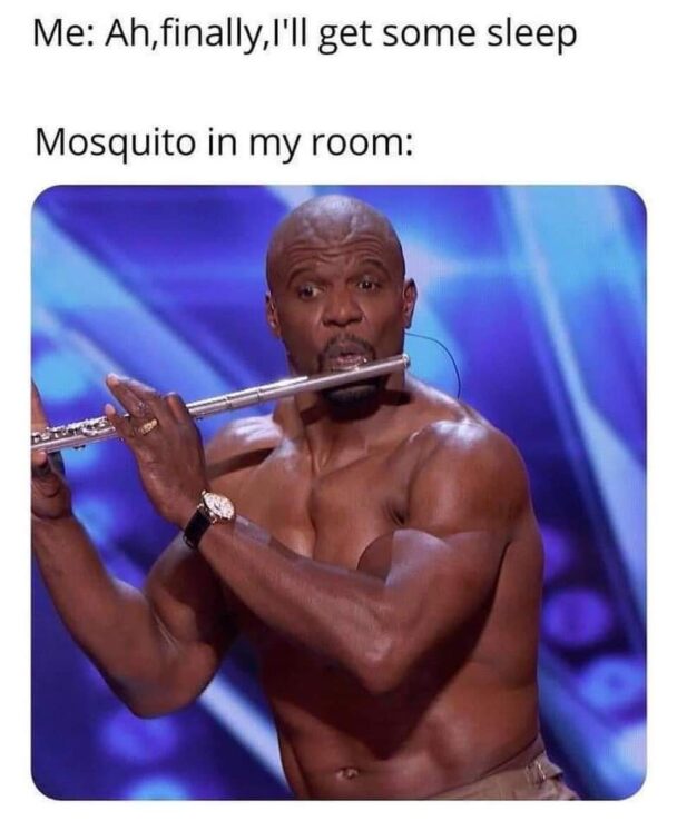Me Get Some Sleep Mosquito In My Room