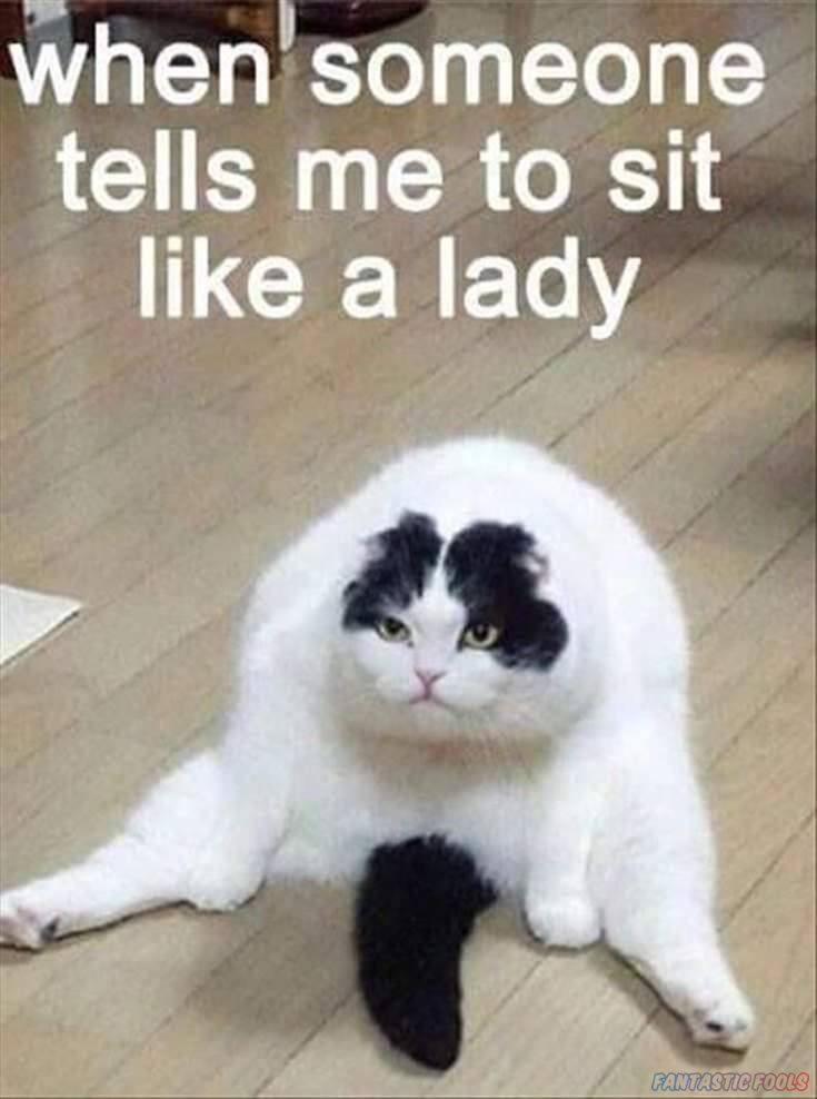 when someone tells me to sit like a lady