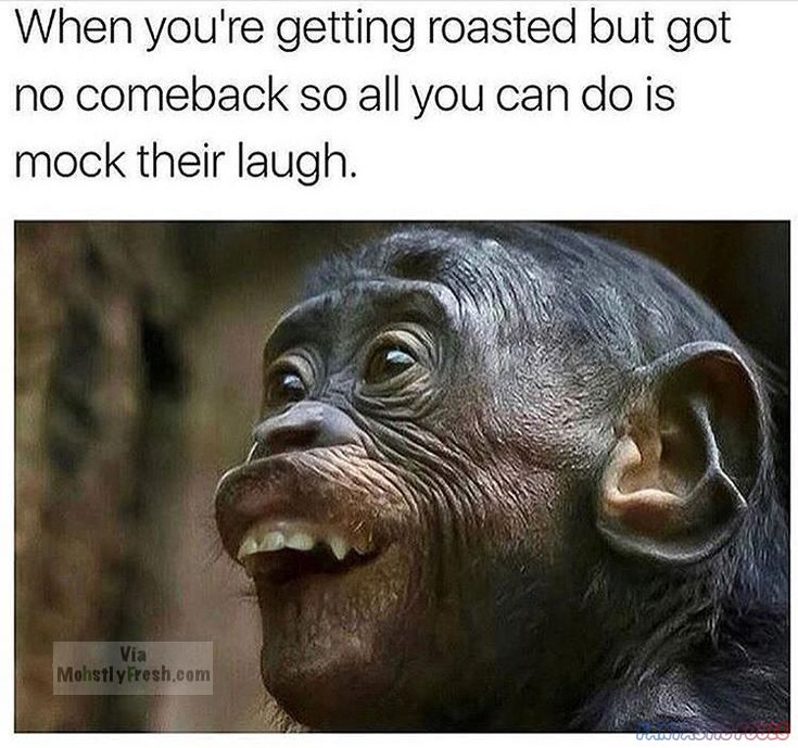 when youre getting roasted but got no comeback so all you can do is mock their laugh via mohstiyfreshcom